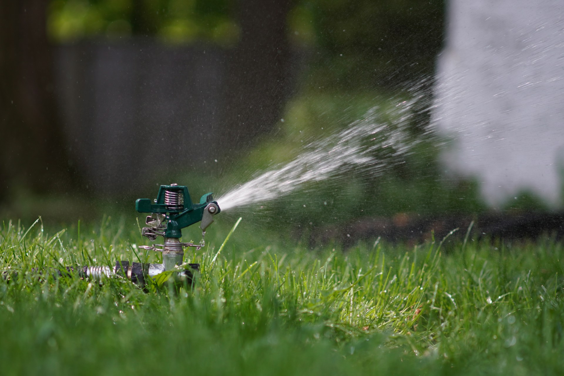 Watering Your Lawn: How Much and How Often
