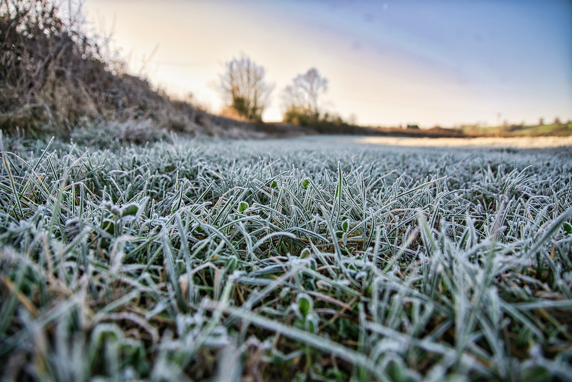 Winter Lawn Care: What to Do (And What Not to Do) From November to February